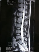 �z�Łi��̍��j