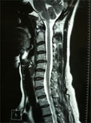 ���Łi���̍��j