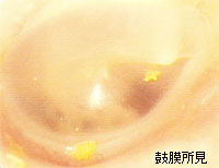 �ۖ�����